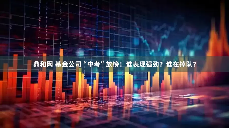 鼎和网 基金公司“中考”放榜！谁表现强劲？谁在掉队？