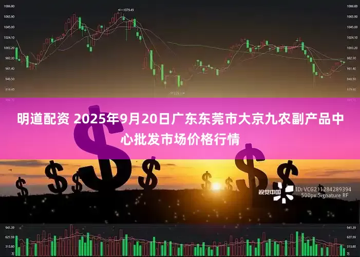 明道配资 2025年9月20日广东东莞市大京九农副产品中心批发市场价格行情