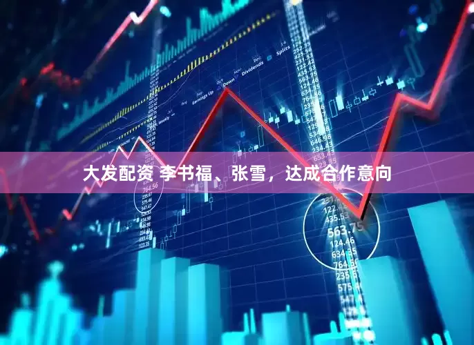 大发配资 李书福、张雪，达成合作意向