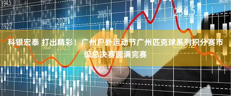 科银宏泰 打出精彩！广州户外运动节广州匹克球系列积分赛市级总决赛圆满完赛